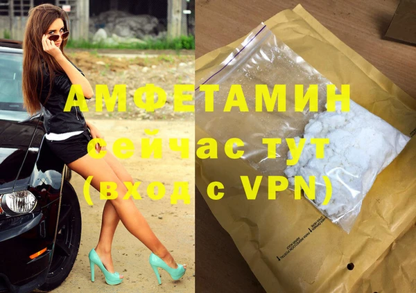 стаф Алексин