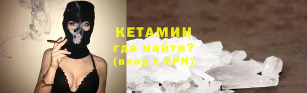 прущие грибы Абаза