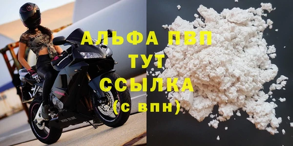 стаф Алексин