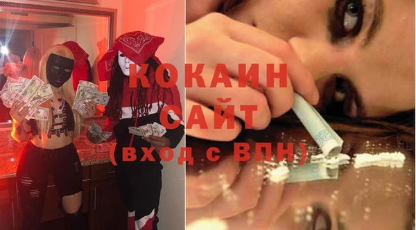 стаф Алексин