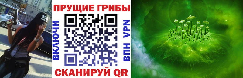 Псилоцибиновые грибы GOLDEN TEACHER  blacksprut ТОР  Плавск 